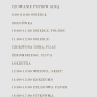 Gold Brown Minimal Elegant Spa Salon Services Price List Instagram Story(1)